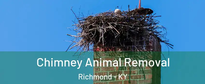  Chimney Animal Removal Richmond - KY