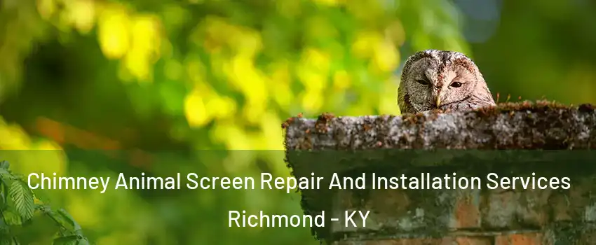  Chimney Animal Screen Repair And Installation Services Richmond - KY